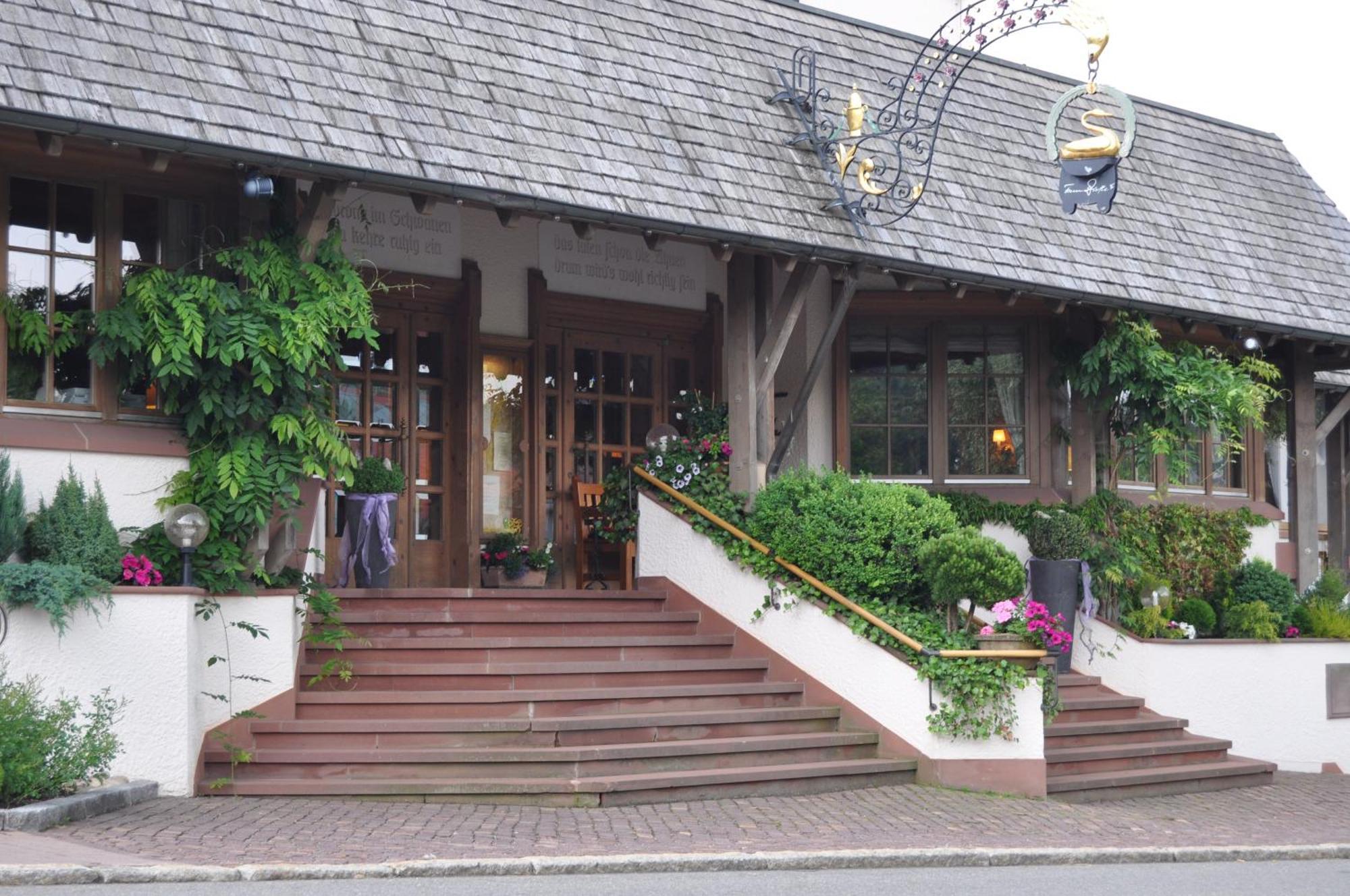 Hotel Schwanen Kaelberbronn Pfalzgrafenweiler エクステリア 写真